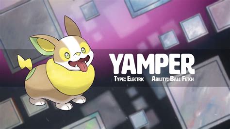 Yamper • Pokémon Sword & Shield • Marriland.com