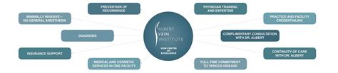 Why Avi About Albert Vein Institute