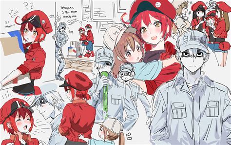 Cells At Work Wallpapers High Quality Download Free