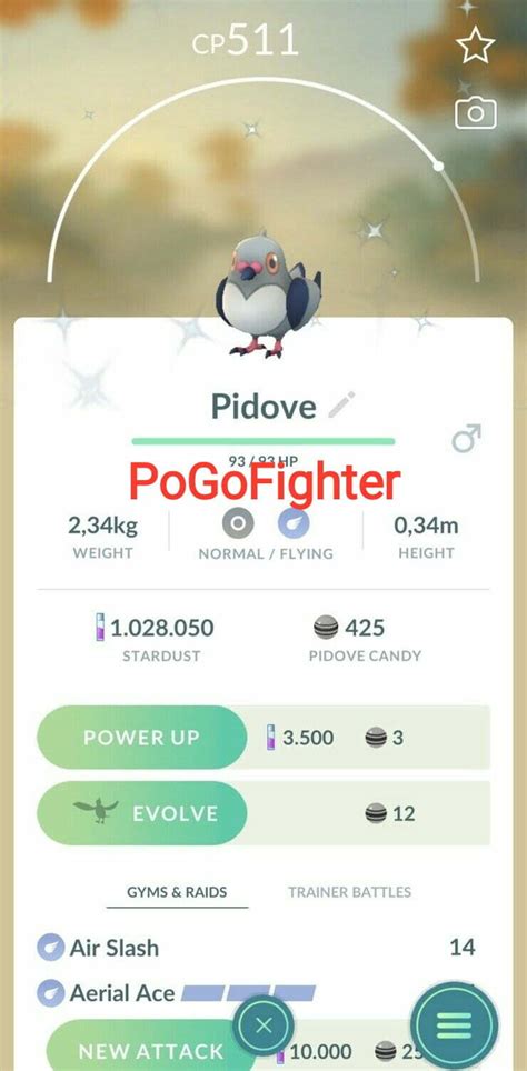 Pokémon Go Shiny Pidove Mini Account Read Describe Pogofighter
