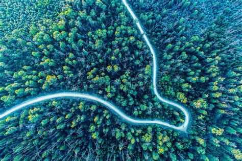 Aerial View Of A Winding Road In The Forest Stock Photo Image Of