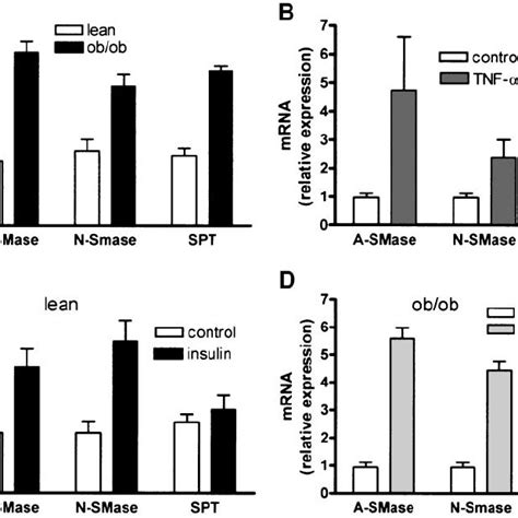 Expression And Regulation Of Asmase Nsmase And Spt Mrna A Asmase