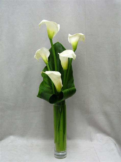 Elegant white Calla lilies stand out against lush greenery Композиция