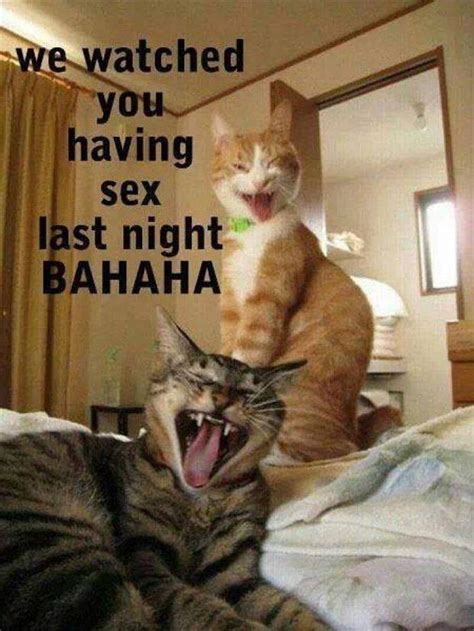 Motivation funny animals funny animals pictures funny baby funny captions funny cat funny dog funny drunk people funny. Beware Of Animals With Funny Captions - 28 Pics