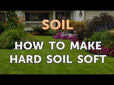 Well, we have decided to make a guide just for you, to help you understand what's involved in the process from a to z. How to Make Hard Soil Soft - YouTube