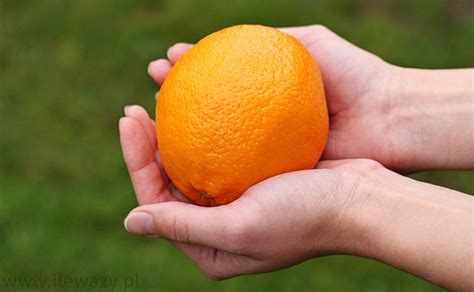 Ile waży Pomarańcza - sprawdź kalorie i wagę, obejrzyj zdjęcia