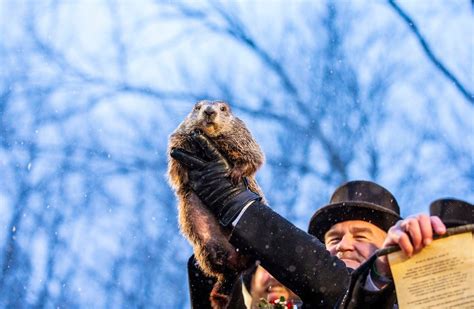 Groundhog Day Will Punxsutawney Phil Be Correct In 2022 Climate