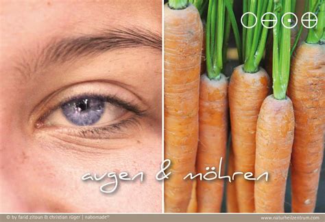 Sind Möhren gesund Alle wichtigen Infos im Überblick