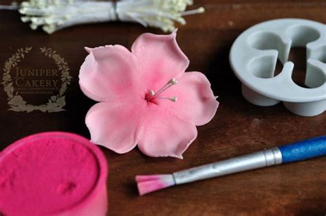 Express Your Creativity Gum Paste Flowers Fondant