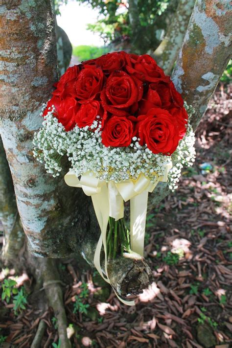 Bunga baby breath sangat populer sebagai tanaman hias perkebunan yang memiliki keindahan. Bunga Tangan Rose / Bridal Bouquet Red Rose & Baby Breath ...