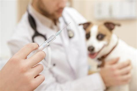 Vaccine guide is an online resource for vaccine research, built to compile .debate continues as to whether neonate and infant exposure to aluminium through vaccination is biologically significant. Rabies outbreak update: Malaysia considered "rabies ...