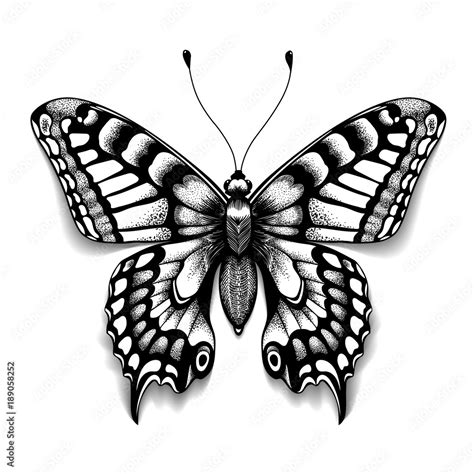 Tattoo Art Butterfly For Design And Decoration Realistic Butterfly