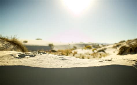 Wallpaper Sunlight Landscape Sea Nature Sand Morning Desert