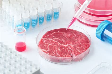 Meat Sample In Open Disposable Plastic Cell Culture Dish In Modern