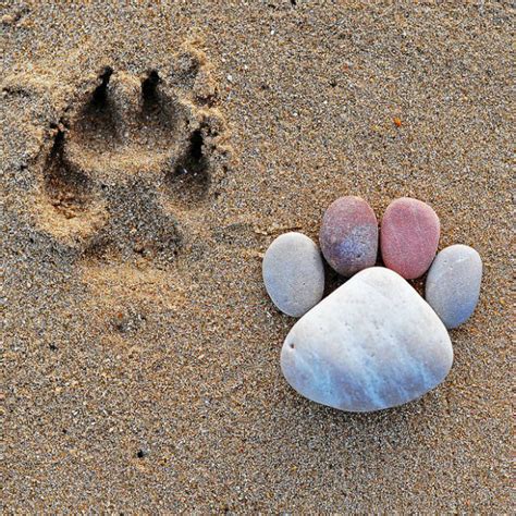 Photos Of Footprints Made From Different Sized Stones