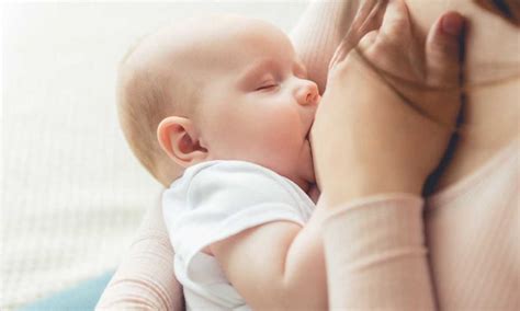 Comienza La Semana Mundial De La Lactancia Materna En Salta Salta