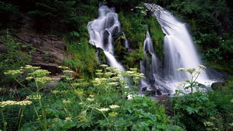 Kirkton Glen Waterfall In Balquhidder Scotland Forest Stream River Rock