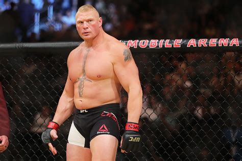 Brock Lesnar Fined Suspended By Nevada Athletic Commission Rolling Stone