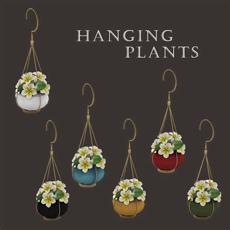 Hanging Plants – Leosims.com -New