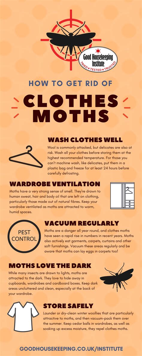 Best Way To Get Rid Of Moths In Closet Ideas De Closets