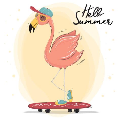 Best Pink Flamingo Sunglasses Illustrations Royalty Free Vector