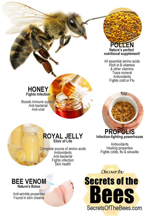 80 Best Of What Are The Benefits Of Bee Venom Insectza