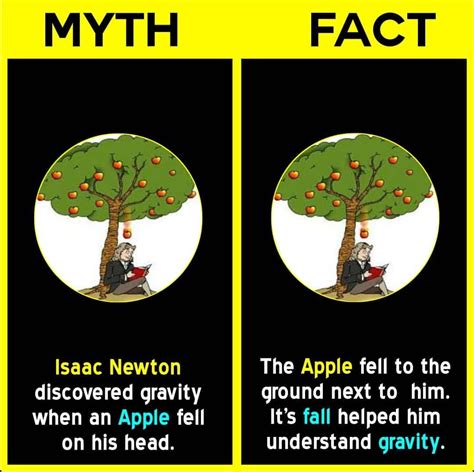 Myth Vs Fact Unbelievable Facts Intresting Facts True Interesting Facts