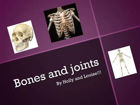 Ppt Bones And Joints Powerpoint Presentation Free Download Id2778166