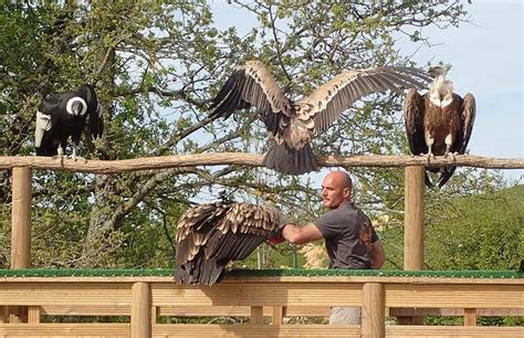 Check spelling or type a new query. Val de Loire : le zoo de Beauval