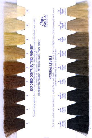 A hair color chart to get glamorous results at home. Killerstrands Hair Clinic - learn what hair color levels ...