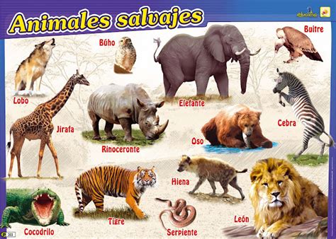 Animales Salvajes Con Nombres Imagui