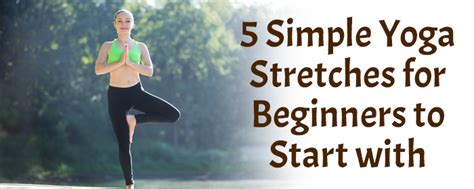 5 Simple Yoga Stretches for Beginners to Start With