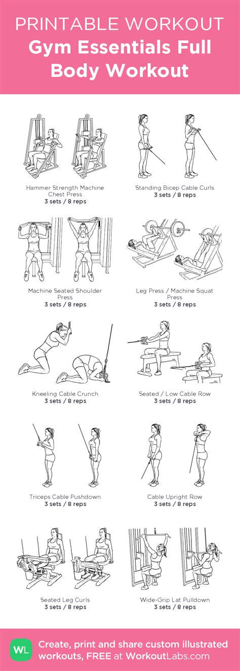 Gym Essentials Full Body Workout My Visual Workout
