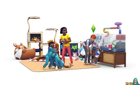 Dress Up Your Pets And Find Some New Ones With The Sims 4 My First Pet