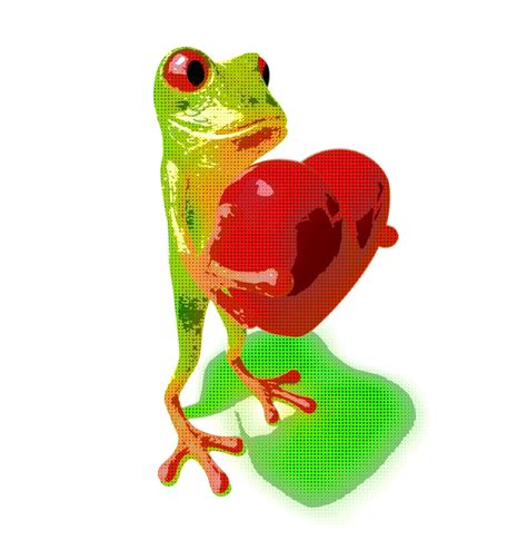 Fun Frog Free Photo Download Freeimages