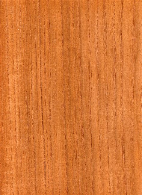 Teak Golden Quarter Cut M Bohlke Corp Veneer And Lumber