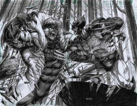 Sabretooth Vs Wolverine By Grandizer05 On Deviantart