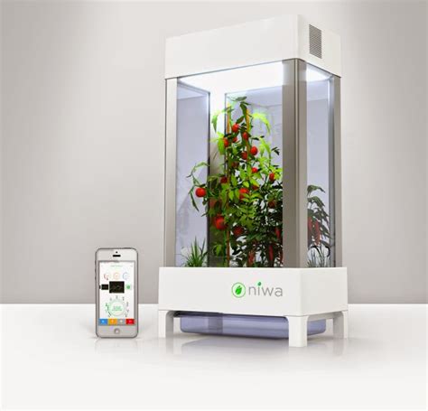 What numbers should you be looking for when trying to decide on the best grow lights for plants? Niwa - Smartphone-controlled Indoor Plant Growing System ...