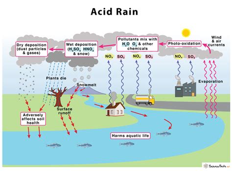 Acid Rain Definition Causes Effects And Solutions