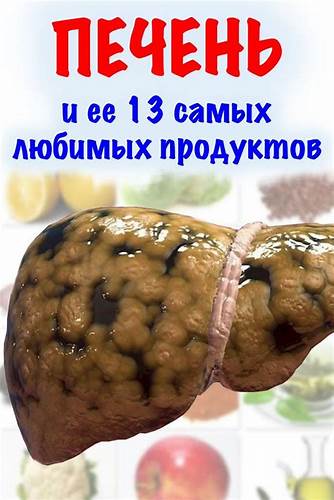 Диета печень лечат Печень и ее 13 любимых продуктов: полезные продукты для печени, которые Печень и ее 13 любимых продуктов: полезные продукты для печени, которые Диета печень лечат