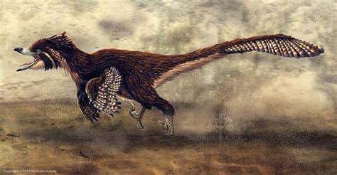 Velociraptor Mongoliensis Restored By Thedragonofdoom Life In Pieces
