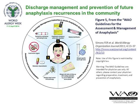 World Allergy Week 2014 Anaphylaxis When Allergies Can Be Severe And