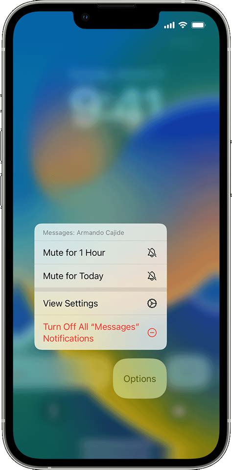 Use Notifications On Your Iphone Or Ipad Apple Support