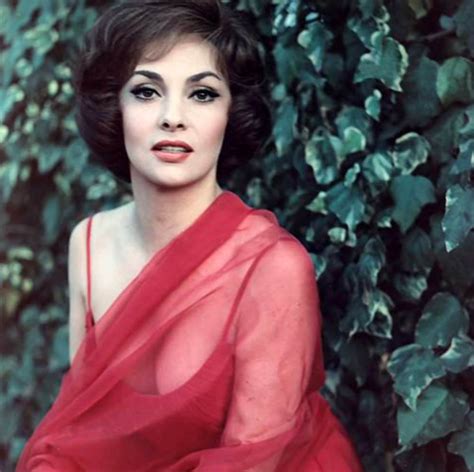 gina lollobrigida classic beauty of the 1950s and the early 1960s ~ vintage everyday