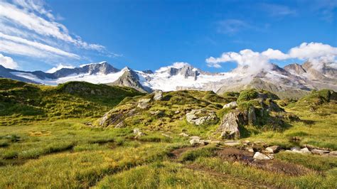 Hochgebirgs-Naturpark Zillertaler Alpen | Blühendes Österreich