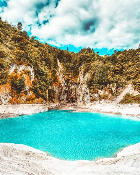 20 Most Beautiful Places In New Zealand Glacier Walk On Fox Glacier Is One Of The Top Beauties