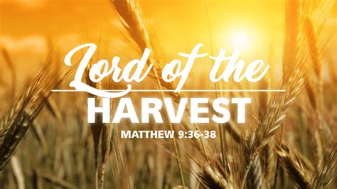 The Season Of Harvest