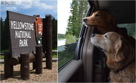 Day 10 Jackson Hole And Yellowstone National Park