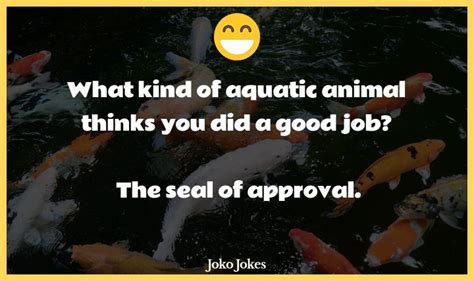 39+ Aquatic Jokes That Will Make You Laugh Out Loud