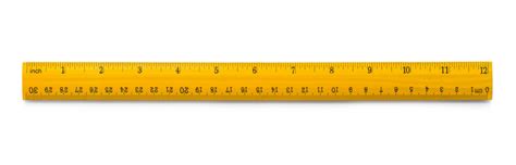 30 Cm Ruler School Supplies Measurement Tool Isolated Vector